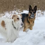 Michele Van Patten-Muzones - @lukaandduke - Instagram