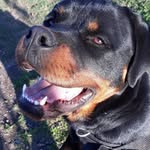 Michele Varone - @michele31011974 - Instagram