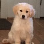 Michele Wagoner - @viperchick16 - Instagram