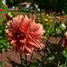 Michele Webber - Facebook