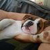 Michele Webber - Facebook