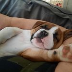 Michele Webber - @webbermichele - Instagram