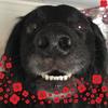 Michele Weeks - @micheleweeks1 - TikTok