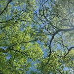 Michelle Weinstein, PsyD - @neurotranslated - Instagram
