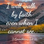 Michele Whitaker - @tarawhitaker652 - Instagram