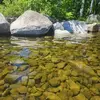 Michele Whitlock - @michele.whitlock - TikTok