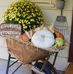 Michelle Whitlock - Facebook