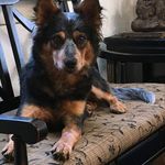 Michele Wolfe - @nevadagirlforlife - Instagram