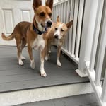 Michele Wolfe - @shells2208 - Instagram