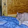 michelewolfe962 - @michelewolfe962 - TikTok