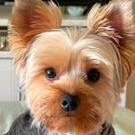 Michele Wright - @michelewright09711 - Instagram