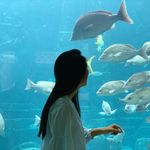 Michele Yang - @micheleyang007 - Instagram
