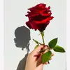 michelineauguste5 - @michelineauguste5 - TikTok