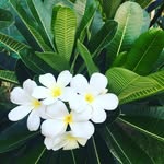 Micheline Bruno - @micheline.bruno - Instagram