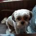 Micheline Laurent - Facebook