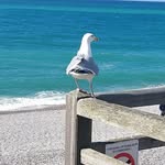 Micheline Laurent-Christine Plocus - @laurentchristineplocus - Instagram