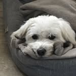 Michelle Ableson - @ableson.michelle - Instagram