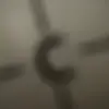 Michelle - @michelle.ace - TikTok