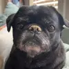 Michelle - @michelleachristy - TikTok