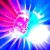 michelle ackerman838 - @mshell73 - TikTok