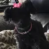 Michelle Ackerman - @michelleackerman6 - TikTok
