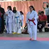 Michelle Ackerman - @michelle.ackerman2 - TikTok