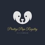 Michelle Ackroyd - @prestige_puppy_registry - Instagram
