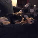 Michelle Aiken - @michelleaiken1971 - Instagram