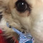 Michelle Aiken - @aiken7674 - Instagram