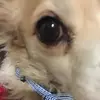 Michelle Aiken - @michelle.aiken4 - TikTok