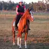 Michelle Aiken - @michelle.aiken3 - TikTok