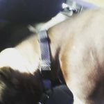 Yazmine michelle aiken - @aikenmichelleyazmine - Instagram