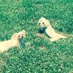 Michelle Akers - @michelle.akers.332 - Instagram