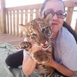 Michelle Allmon - @badtweety66 - Instagram