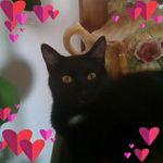 Michele Amiot - @amiotmichele - Instagram