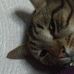 Michelle Amiot - Facebook