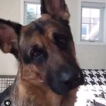 Michelle Anson - @zeuszeus2009 - Instagram