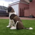 Michelle Hanson - @michellehanson1600 - Instagram