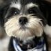 Michele Grier Arant - Facebook