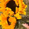 Michelle_archi - @michelle_archi - TikTok