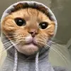 michellearechiga - @michellearechiga6 - TikTok