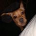 Michelle Asp - Facebook