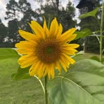 Michelle Atchley - @meshell_mibell - Instagram