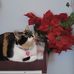 Michelle Audet - Facebook