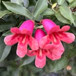 Michelle Austen - @michelle.austen07 - Instagram