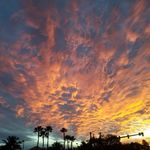 Michelle Azar - @jupiterfarmer1 - Instagram