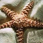 Michelle Backstrom - @willian__35_augustus - Instagram