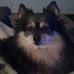 Michelle Balcom - Facebook