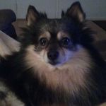 Michelle Balcom - @mvbalcom - Instagram