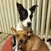 Michele Ballenger - Facebook